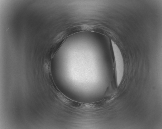 X0000063470329200602101747