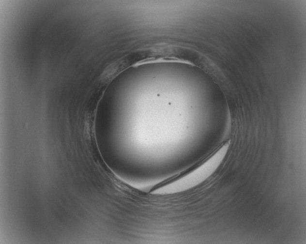 X0000063470333200602101747