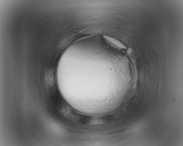 X0000063470335200602101747