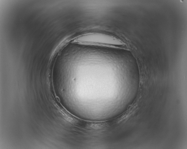 X0000063470341200602101746