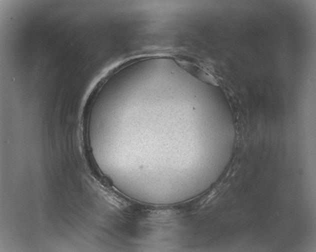 X0000063470342200602101746