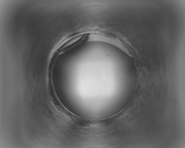 X0000063470344200602101746