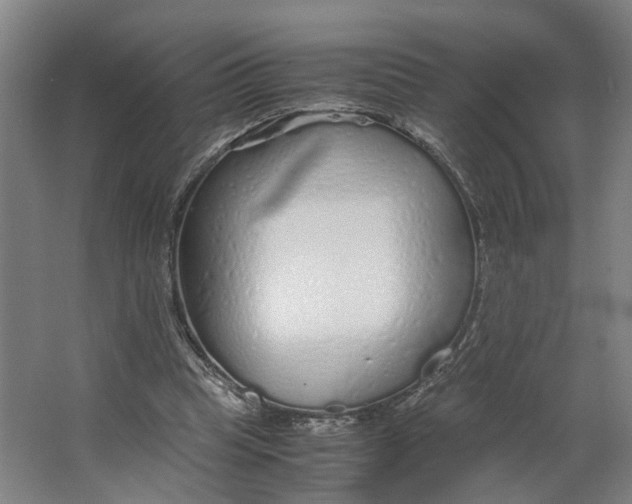 X0000063470345200602101746