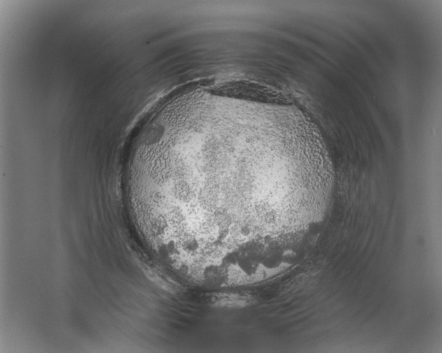 X0000063470347200602101746