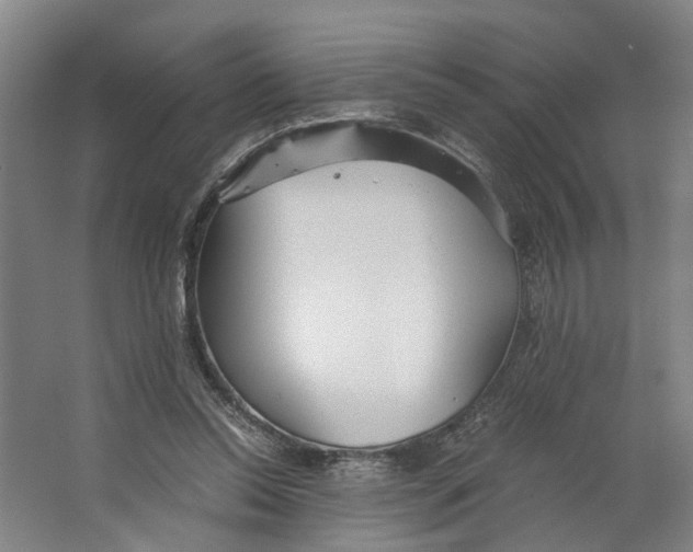 X0000063470350200602101746