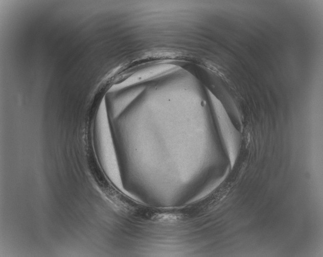 X0000063470352200602101746