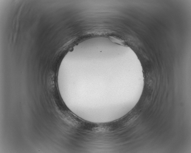 X0000063470356200602101746