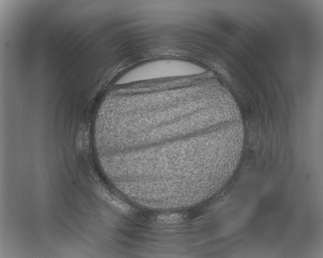 X0000063470357200602101746