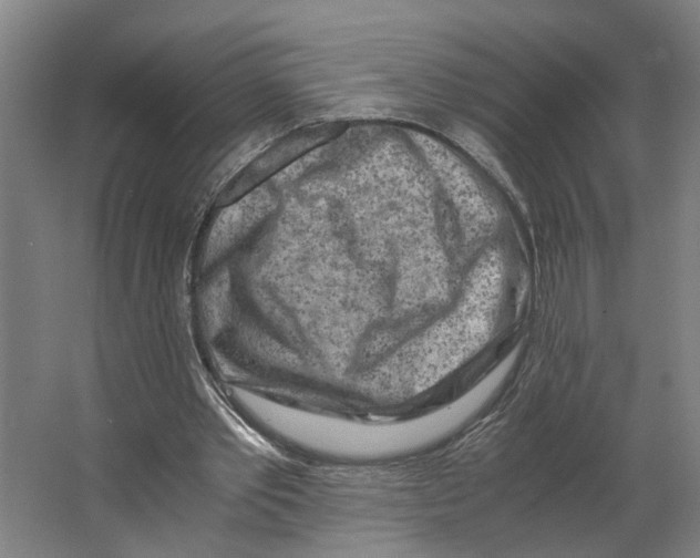 X0000063470389200602101746
