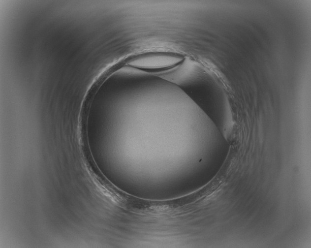 X0000063470391200602101746