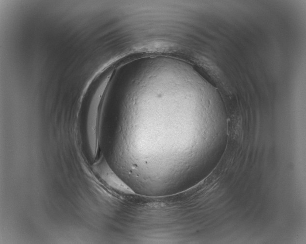 X0000063470392200602101746