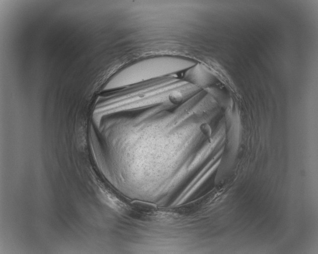 X0000063470393200602101746