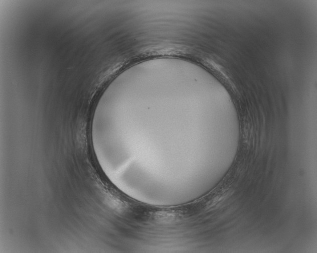 X0000063470394200602101746