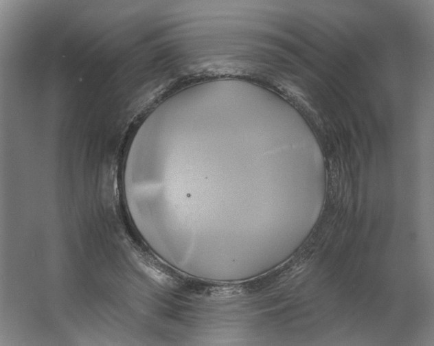 X0000063470398200602101746