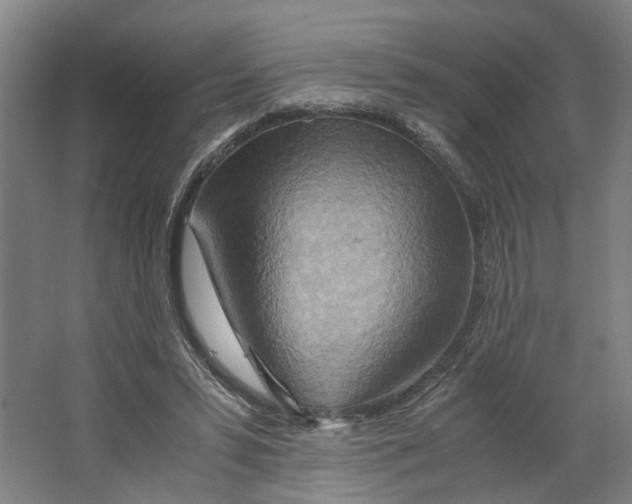 X0000063470399200602101746