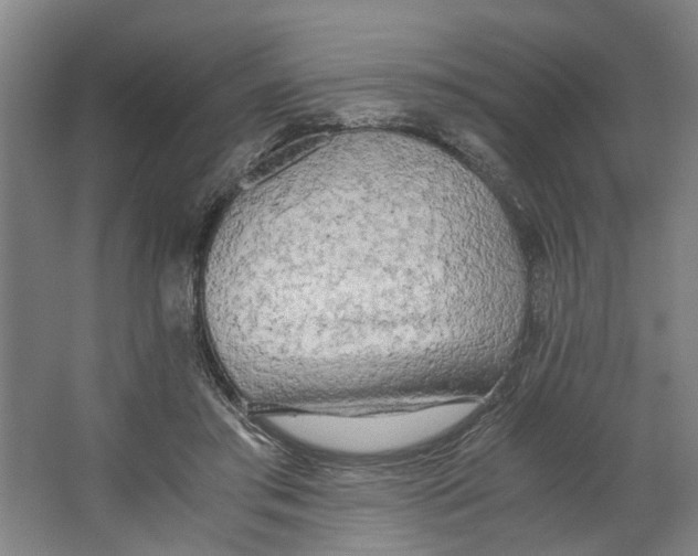X0000063470405200602101746