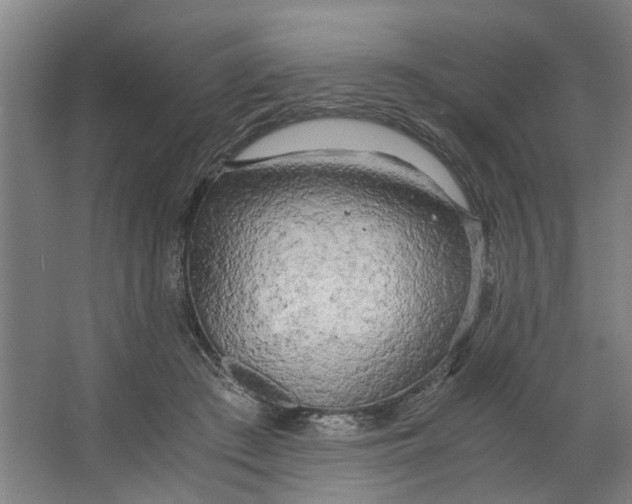 X0000063470409200602101745
