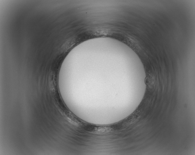 X0000063470414200602101745