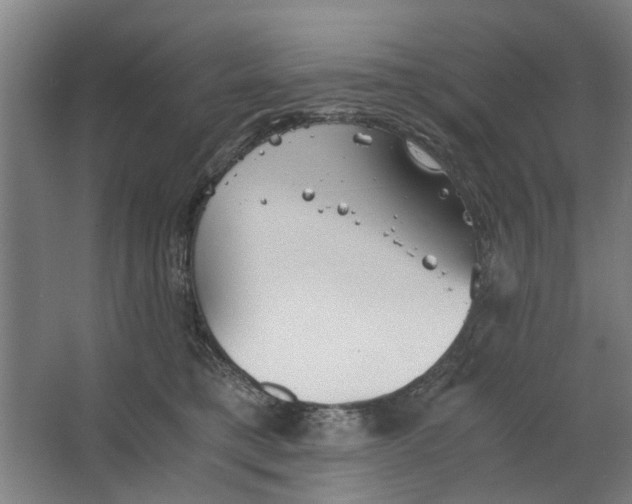 X0000063470421200602101745