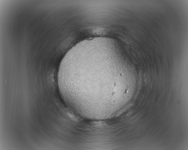 X0000063470424200602101745