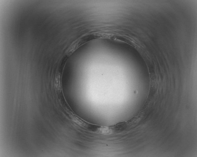 X0000063470425200602101745