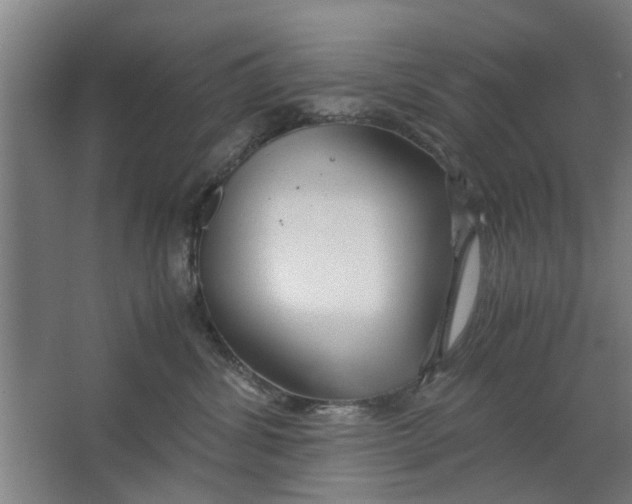 X0000063470428200602101745