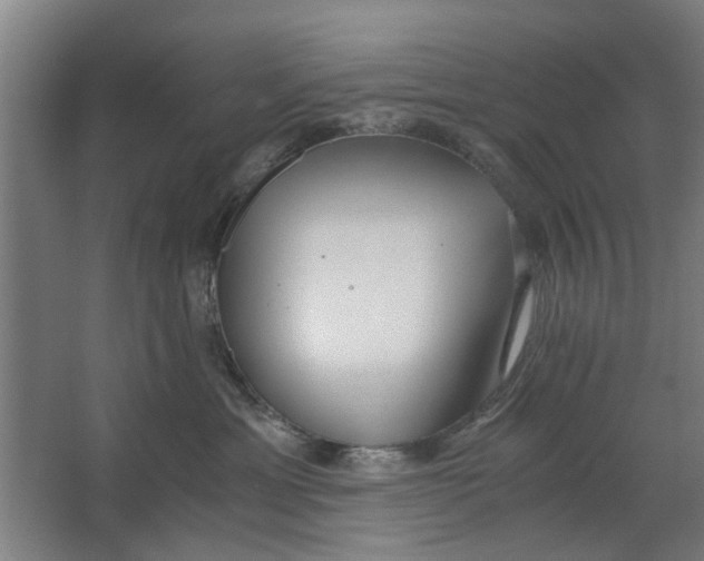 X0000063470429200602101745
