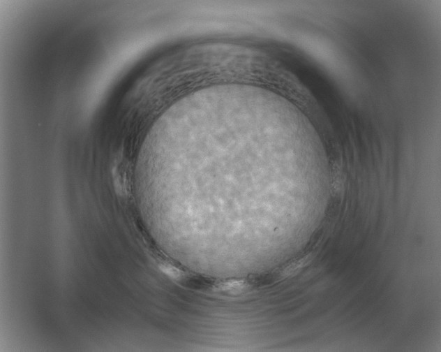 X0000063470431200602101745
