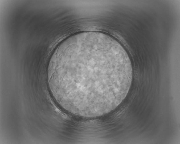 X0000063470433200602101744