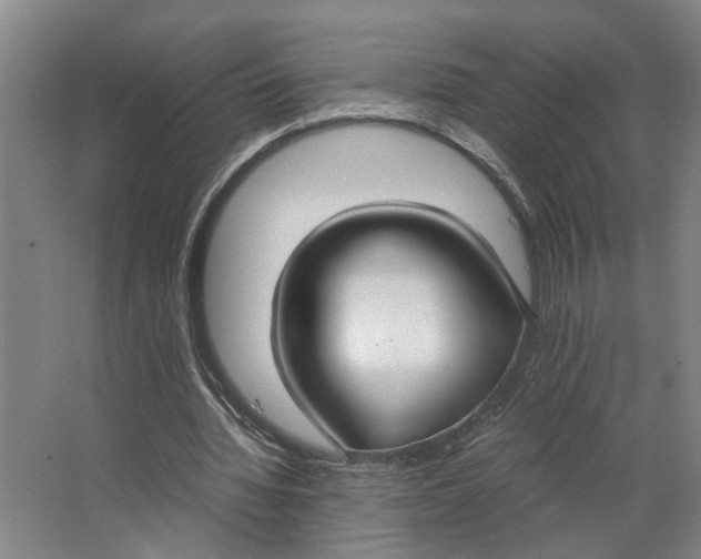 X0000063470436200602101744