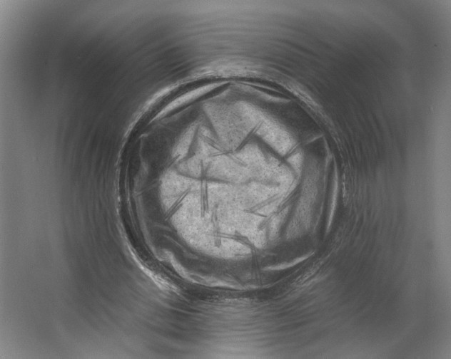 X0000063470438200602101744