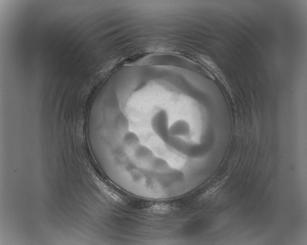 X0000063470441200602101744