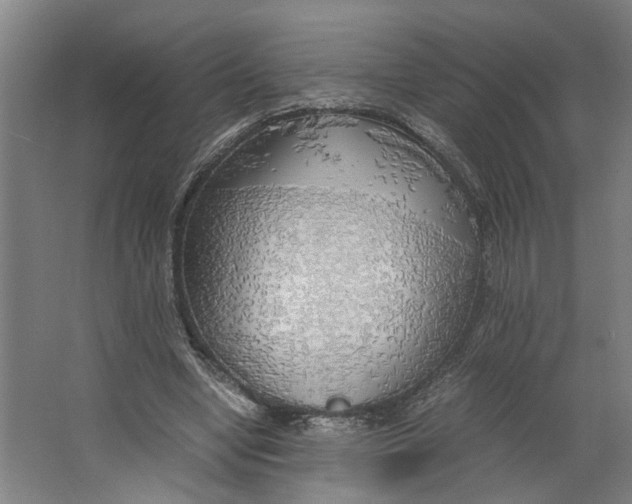 X0000063470442200602101744