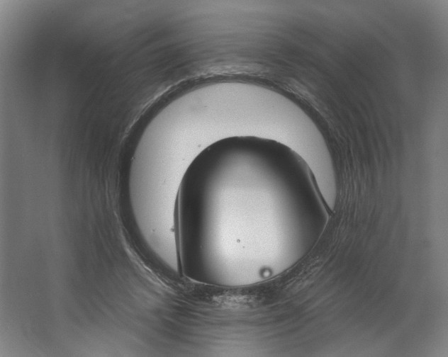 X0000063470448200602101745