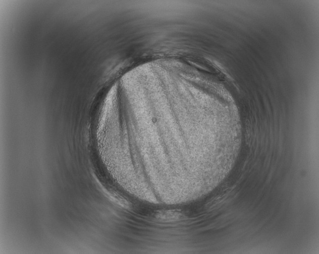 X0000063470451200602101745