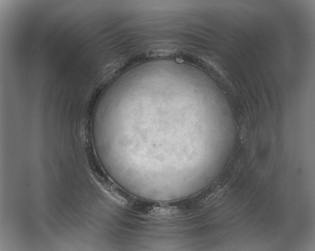 X0000063470455200602101745