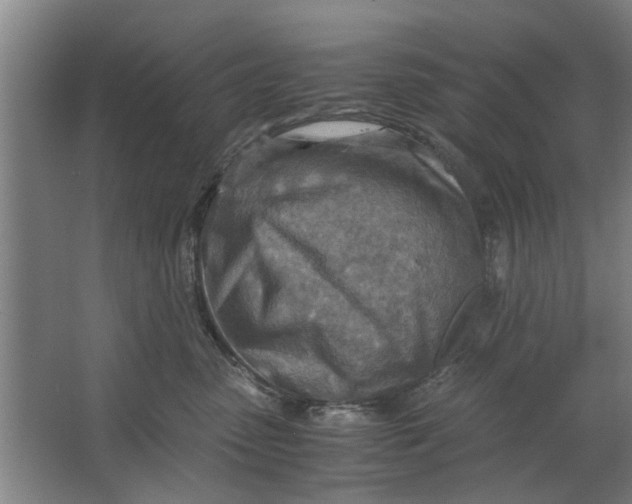 X0000063470475200602101745