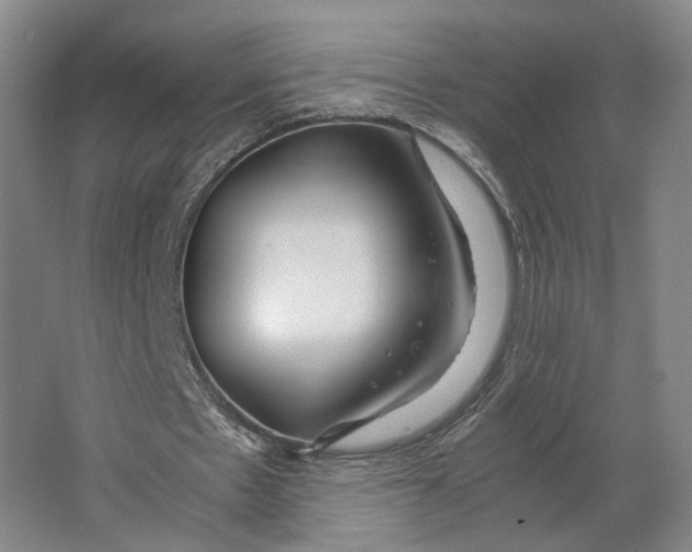 X0000063470481200602101744