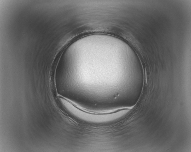X0000063470483200602101744