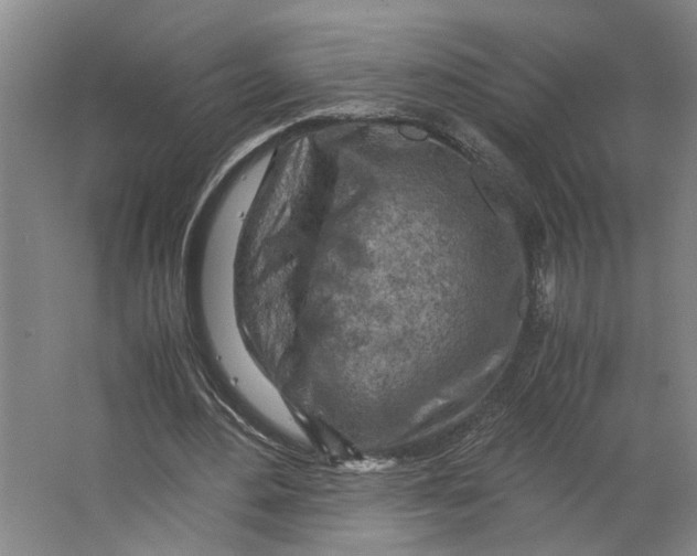 X0000063470484200602101744