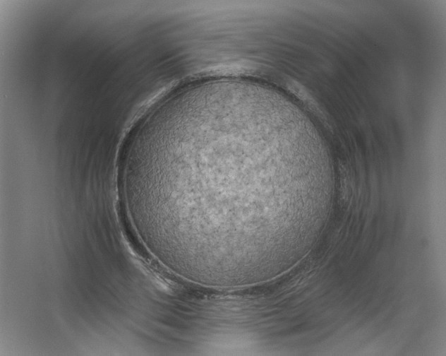 X0000063470486200602101744