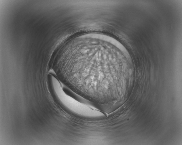 X0000063470487200602101744