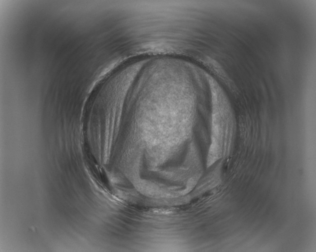 X0000063470488200602101744