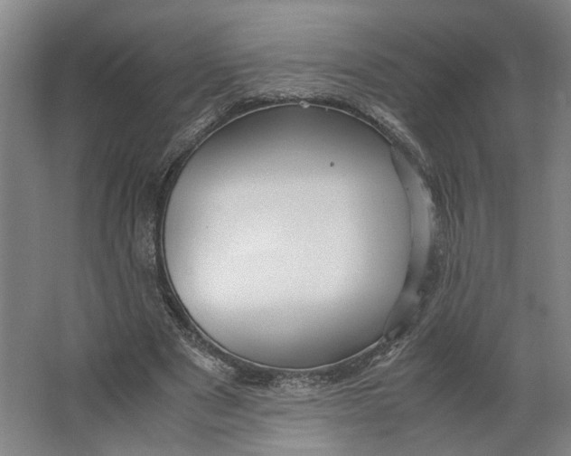 X0000063470489200602101744
