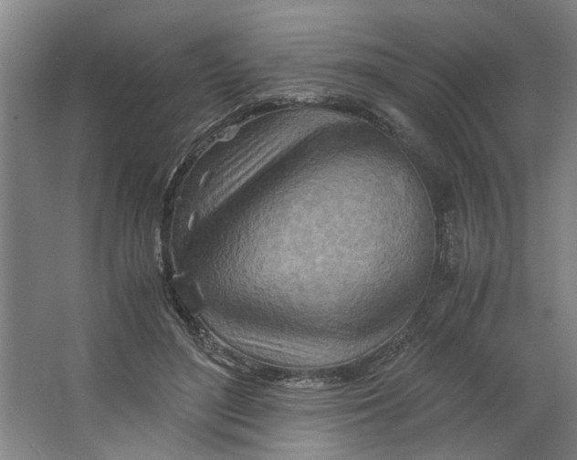 X0000063470500200602101744