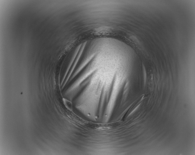 X0000063470508200602101744
