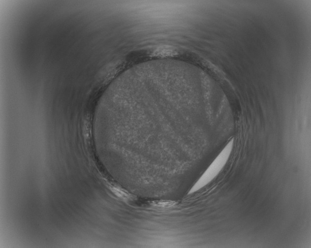 X0000063470517200602101744