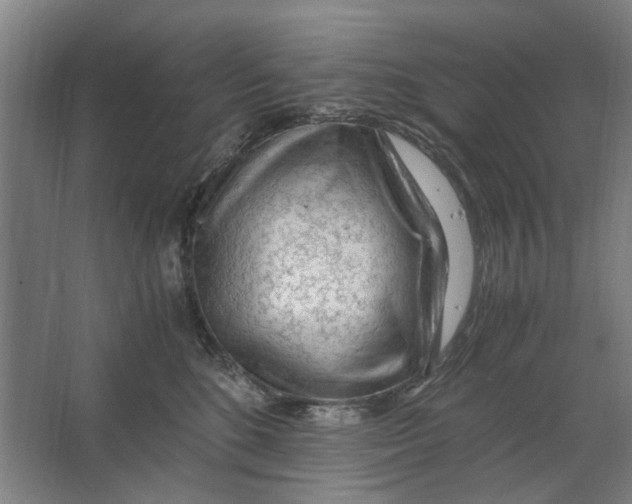 X0000063470520200602101744