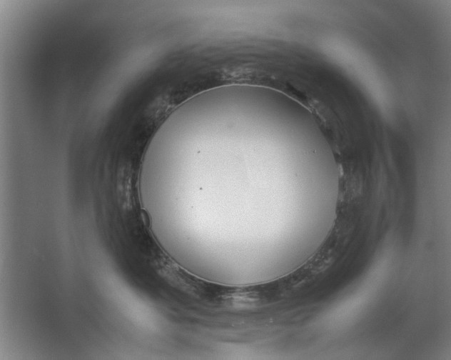 X0000063470525200602101744