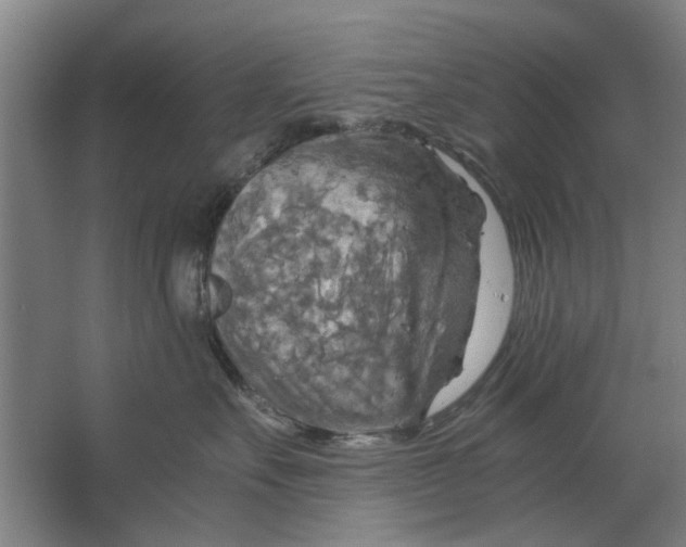 X0000063470527200602101743